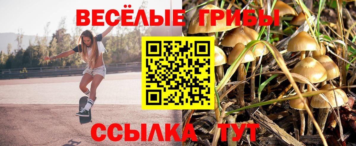 Псилоцибиновые грибы GOLDEN TEACHER  Вход с VPN  Тобольск  Псилоцибиновые грибы ЛСД 