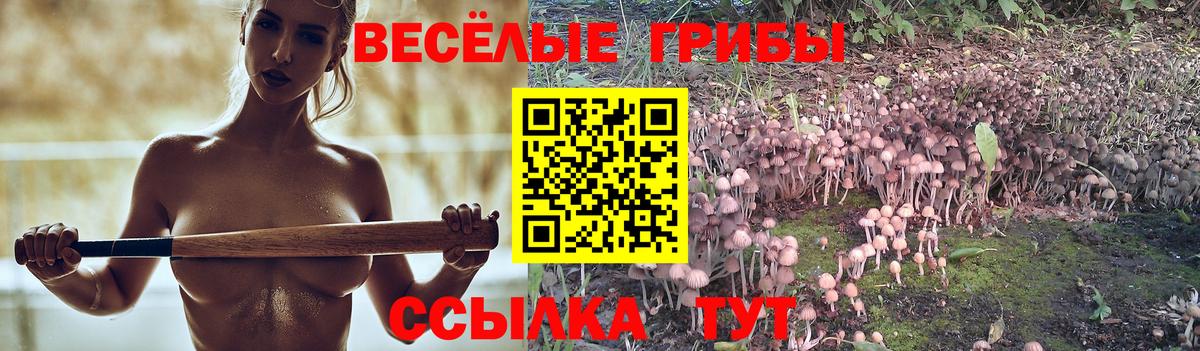 Галлюциногенные грибы мухоморы Тобольск